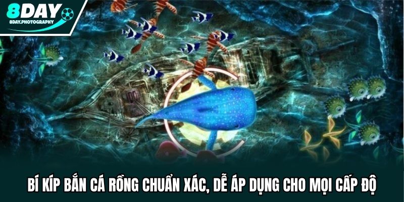 Bí Kíp Bắn Cá Rồng Chuẩn Xác, Dễ Áp Dụng Cho Mọi Cấp Độ