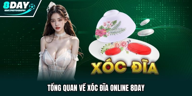 Tổng quan về trò chơi xóc đĩa online tại nhà cái 8DAY