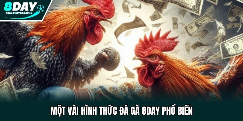 Một vài hình thức đá gà 8DAY phổ biến