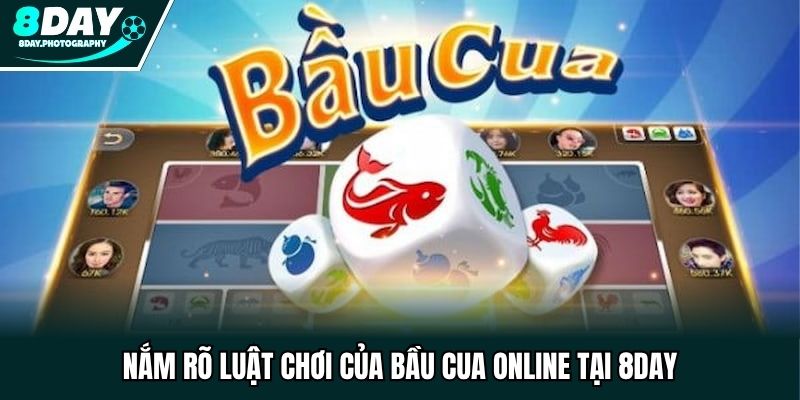 Nắm rõ luật chơi của bầu cua online tại 8DAY