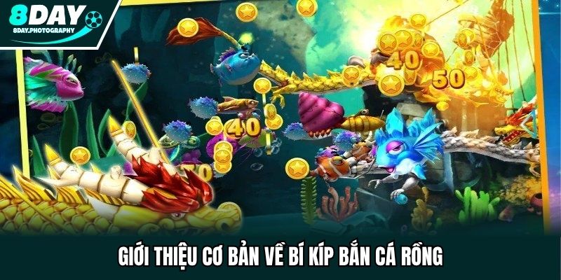 Giới thiệu cơ bản về bí kíp bắn cá rồng