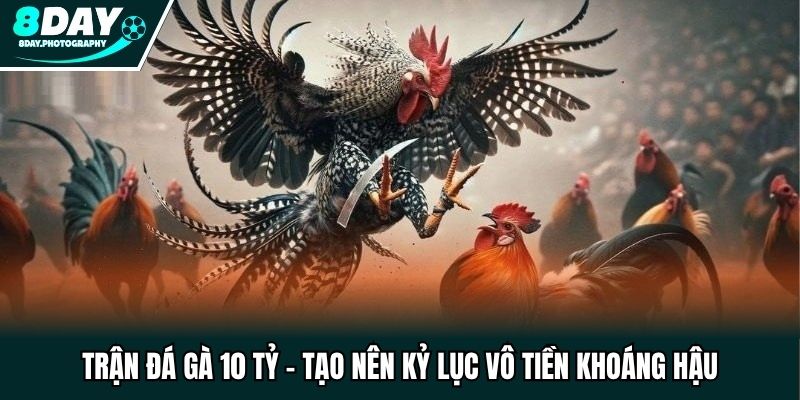 Trận Đá Gà 10 Tỷ - Tạo Nên Kỷ Lục Vô Tiền Khoáng Hậu